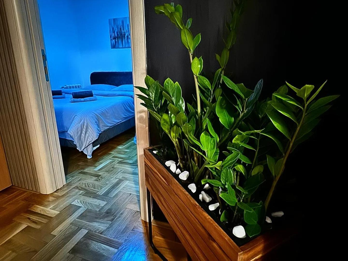 Stan Na Dan Aurora Požarevac Exterior foto